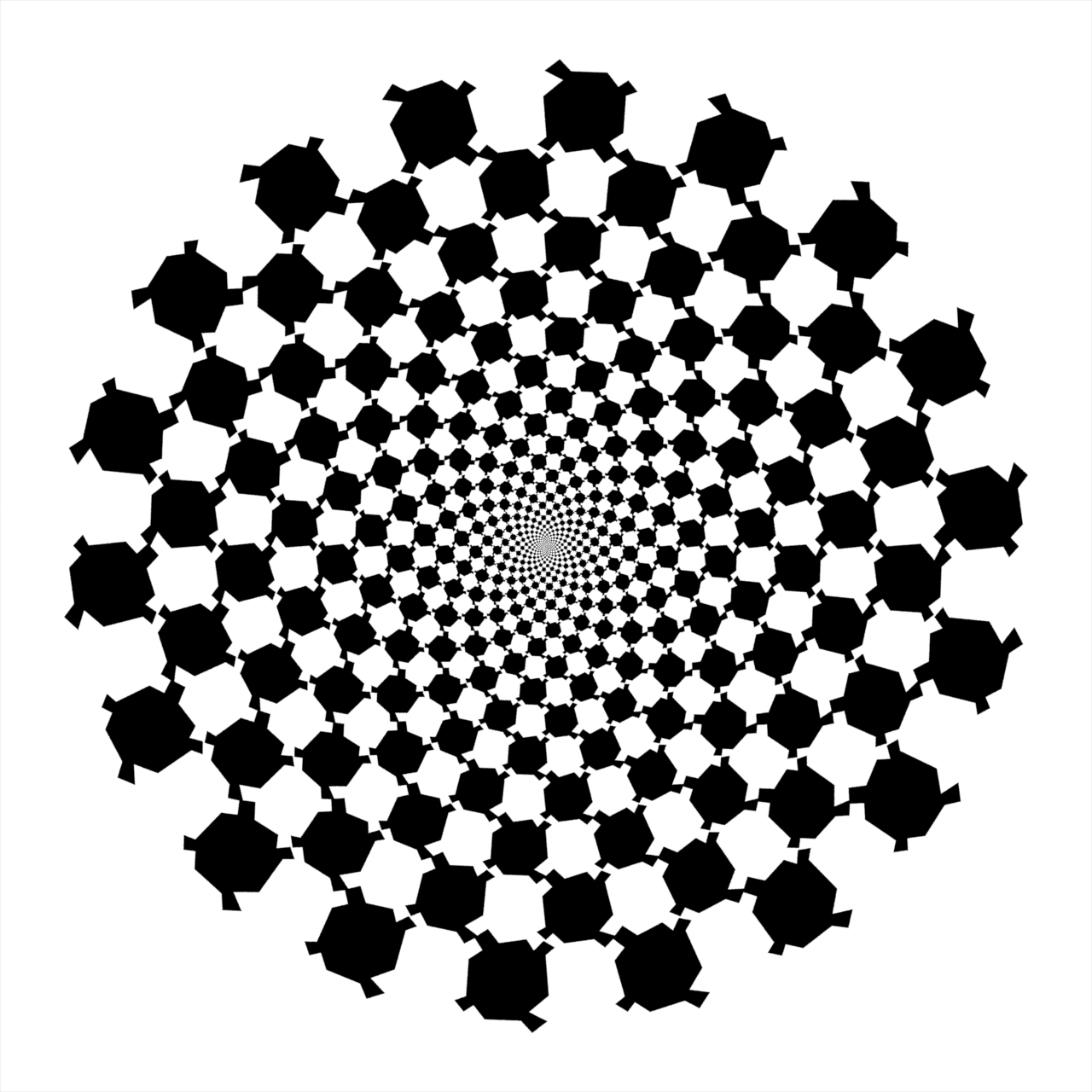 Spiral Illusion 2